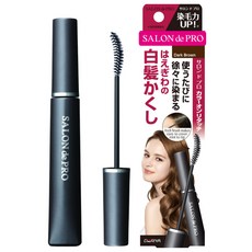 살롱드프로 새치커버 마스카라 워터프루프 4종 15ml, 다크브라운, 1개