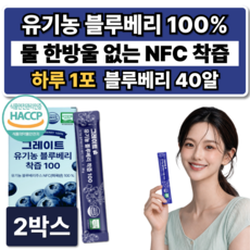 무설탕 유기농 블루베리 착즙 100% NFC 퓨레 스틱, 280g, 2박스