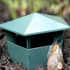 오늘출발샵 달팽이 집 케이지 파충류 달팽이집