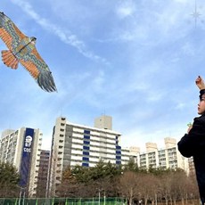 야외 레저용 대형 맹금류 모양 방조 연 농작물 보호 텃밭 과수원 조류 퇴치 장식, 1개