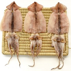 국산 동해안 오징어 반건조 피데기 반건, 1개, 650g 이내 (10미)