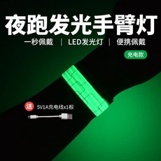 台灣出貨 WRELS騎行跑步手臂燈綁褲腳充電代駕警示燈反光戶外運動夜跑安全 夜跑反光腳環 夜騎反光手環 戶外運動, 充電款-綠色, 1個