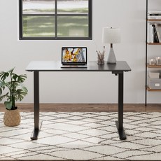 FlexiSpot 전동 모션데스크 EF1 컴퓨터책상 높이조절책상 A/S 5년 높이690-1100mm 학생책상 낮은 높이 사무실책상 게이밍책상, 블랙