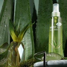 도모아 수분공급 연꽃추출물 부드럽게 알로에 미스트 150ml