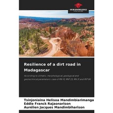 (영문도서)Resilience of a dirt road in Madagascar Paperback, Our Knowledge Publishing, English, 9786209486500