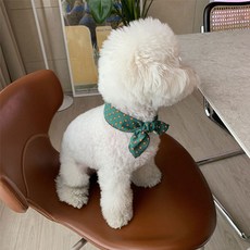 강아지 땡땡이 나들이 스카프 그린, 2개