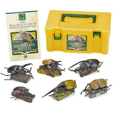 Colorata 赫克力士獨角仙鍬形蟲模型套裝，6件/7件組，立體圖鑑教學模型，生物科學玩具, 1個, 獨角仙/甲蟲/赫克力士/6件組