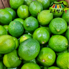 고군명가 라임 중과 20과 1.7kg 내외, 1박스