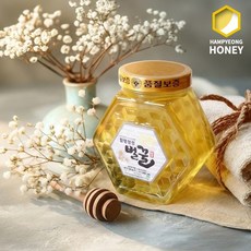 [함평나비꿀] 순수 천연꿀 아카시아꿀 2kg 선물세트 천연벌꿀 성적서 동봉, 1개