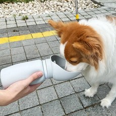 투니스 반려동물 아웃도어 휴대용 접이식 실리콘 물병, 라이트 그레이, 550ml
