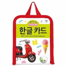 브레인 카드 48장 유아 지능 개발 한글 카드, 애플비북스, 8809338971844