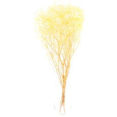 [데코몰] 프리저브드 플라워 미니 안개, 엔젤옐로우