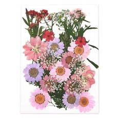 레진 압화 꽃 천연 건조 스티커 스크랩북 22종 1개, 16