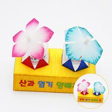 초등과학화학반응실험양배추지시약 늘봄교실초등교과연계산염기실험 가정학습과학만들기 1인용