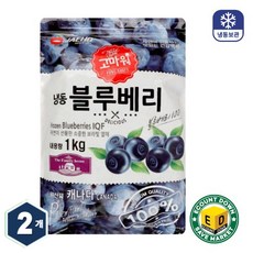 [당일출고]고마워 블루베리 1kg(냉동) 북미산 대용량 업소용 [원산지:캐나다], 2개, 1kg