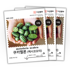 주주씨앗 쿠카멜론 씨앗 3봉 세트 엄지수박 종자 씨 한입크기 절임용 멕시코오이 채소 씨앗, 1개