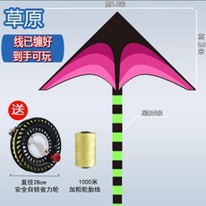 十米大草原濰坊新款風箏成人超大型高檔兒童卡通微風易飛網紅玩具 副廠商品, 1個