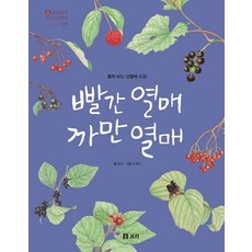 紅色果實 黑色果實：可展開的山野果圖鑑, Bori編輯部, Bori出版社