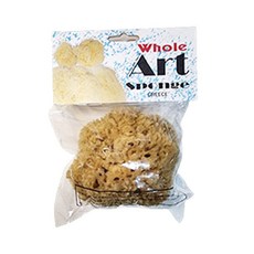 천연해면 (거친) 12~14cm 1개입 미술놀이 W82-13 ths+489ev