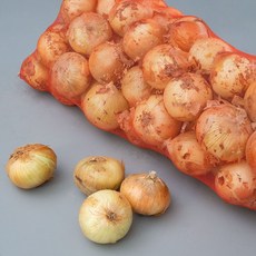 [품질보장]세상모든농부 2025 햇양파 신선한 국내산 양파, 1개, 3kg(중)