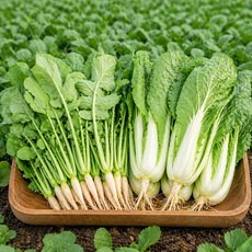 [선별최상품] 국산 어린 열무 얼갈이 세트 산지직송 디아머스, 1박스, 열무 2kg + 얼갈이 2kg