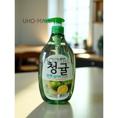 CJ라이온 참그린 주방세제 산뜻 제주청정 청귤향 1kg 펌프형 1개입