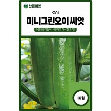 미니그린 오이 씨앗 10립 흰가루병 노균병에 강한 수분 많은 오이씨 종자, 1개