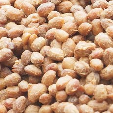 영월 두무동 청국장 120gX18봉, 18개, 120g