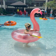 火烈鳥成人泳池浮圈 加厚耐磨 PVC材質 拍照道具, 透明亮片火烈鳥 70, 1個