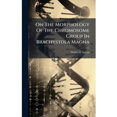 (영문도서)On The Morphology Of The Chromosome Group In Brachystola Magna Hardcover, Hutson Street Press, English, 9781024575569
