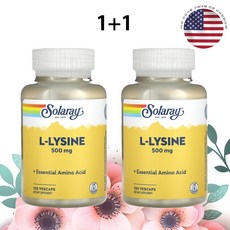 솔라레이 리신 500mg 120캡슐 라이신 L라이신 x 2병, 2개, 120정