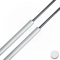 보닛 쇼바 호환 본네트 리프트 쇽업쇼바 댐퍼 혼다 시빅 FC/FK용 후드 스트럿 바 10 번째 2015-2022 프론트 본넷 지지대 가스 스프링 암, Silver Carbon Fiber