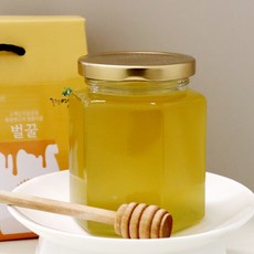 소백산 벌꿀 아카시아&야생화 500g(유리병), 1