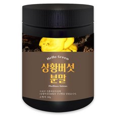 헬로우그린 국내산 상황 버섯 분말 50g(통), 1개