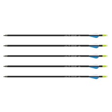 SURPASS 鋁箭 1916/2016 鋁箭 練習箭 金屬箭 獵魚箭, 1個, 2016 不可換頭