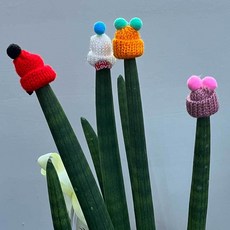 화분 장식 방울방울 스투키모자 5P 꾸미기 스투키