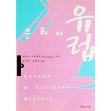 [중고] 유럽 문화사 (하) | 페이터 리트베르헨 | 정지창 김경한 | 지와사랑 | 2003년, 페이퍼백