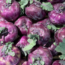 [최저가보장] 제주 당일수확 콜라비 (못난이), 10kg, 1박스