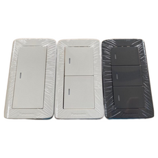 Panasonic 國際牌 RISNA系列開關, 1個