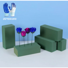 이지로지엑스 생화용 고밀도 플로랄폼 꽃꽂이재료용품 화환 잘라쓰는 꽃꽂이폼, 6개