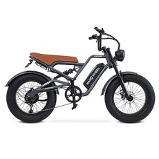 나노휠 라인M20 고출력 팻바이크 자토바이 전기자전거 20인치 48V 13Ah, 블랙, 스틸