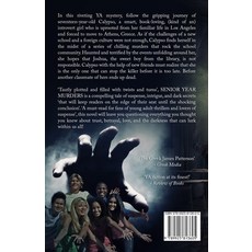 (영문도서) Senior Year Murders: A YA murder mystery Paperback, G.I.M., English, 9789925813605