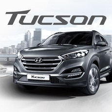 올뉴투싼 LED (일반형)-번호판등만 구매, 화이트, 1개