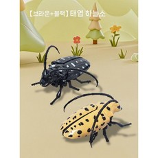 1+1움직이는 태엽 장난감 장수풍뎅이 사슴벌레 벌레 곤충 피규어, 태엽 검정+갈색 2개