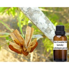 卡塔菲 純精油 katrafay pure essential oil, 1個, 250ml