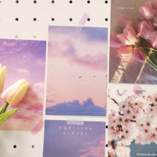 감성 엽서 일러스트 인테리어 홈데코 엽서 다꾸 문구 아트 카드