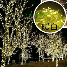 暖白防水聖誕燈 10米100燈 送8段跳機 黑線 AC110V 聖誕樹燈, 黑線,AC110V, 1個