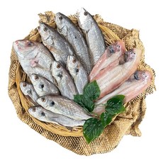 해찬 진품 세트 반건조 생선 선물세트 [참돔특대(45cm) 1미 수조기대(50cm) 3미 백조기 특대(30cm) 6미 박대 대(30cm) 3미, 해찬진품 세트