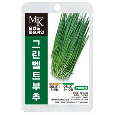모칸도 스피드 그린벨트 부추 2000립, 1개