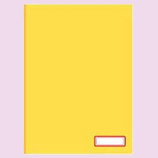 문서 적색 견출지 활동 라벨 유니온 10 x 24 10매입